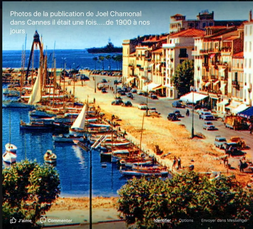 Villa les néfliers à Cannes France